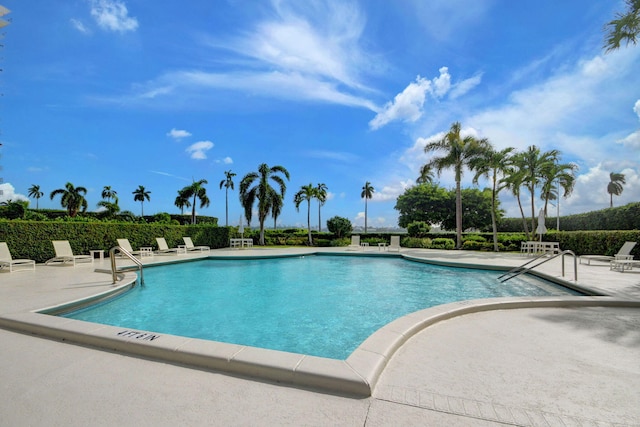 view of pool with a patio area