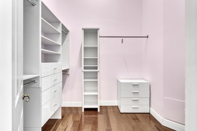 spacious closet with hardwood / wood-style flooring