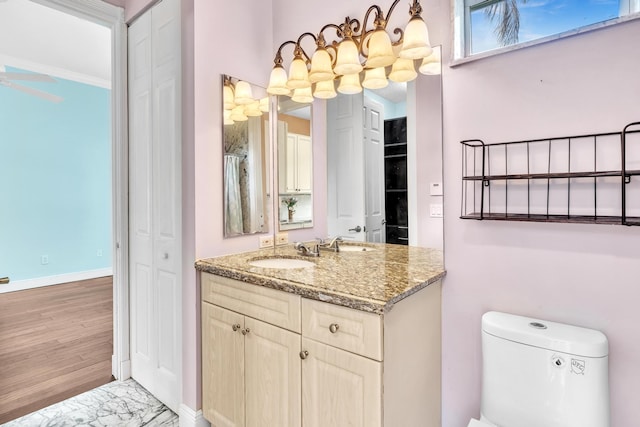 bathroom featuring vanity, hardwood / wood-style flooring, and toilet