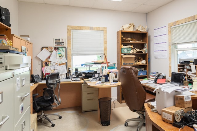 office space with a drop ceiling and plenty of natural light