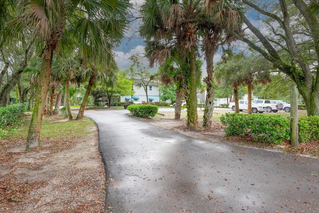 1630 F Rd, Loxahatchee Groves, FL 33470 - view of road
