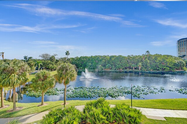 property view of water