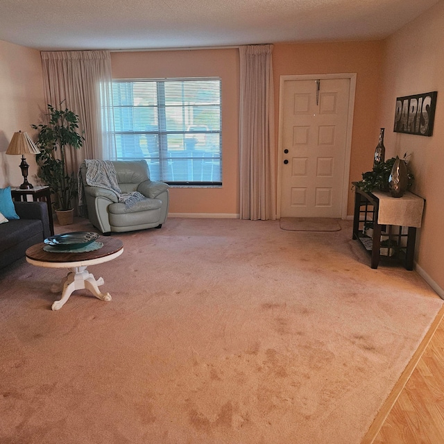 living area featuring carpet and a textured ceiling