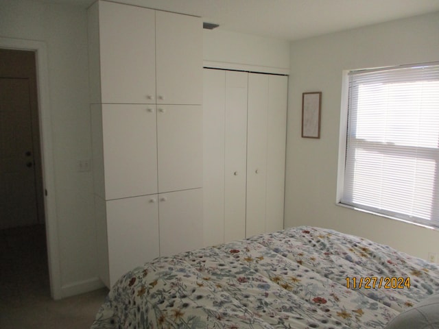 bedroom featuring multiple closets