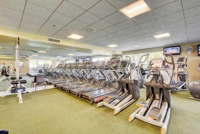 workout area featuring a paneled ceiling, carpet floors, and plenty of natural light