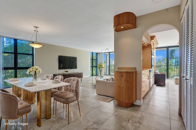 dining space with floor to ceiling windows and a healthy amount of sunlight