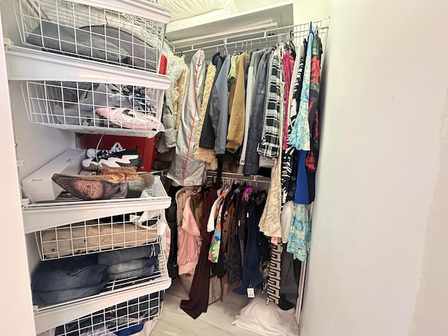 spacious closet with wood-type flooring