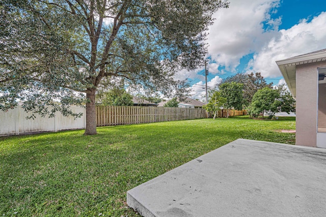 view of yard with a patio