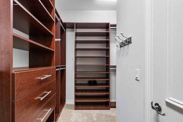 walk in closet with light carpet