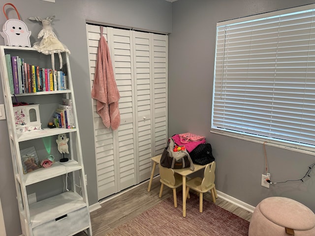 playroom featuring wood-type flooring