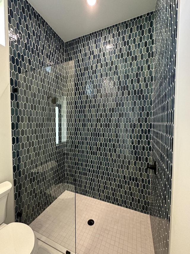 full bathroom featuring toilet and walk in shower