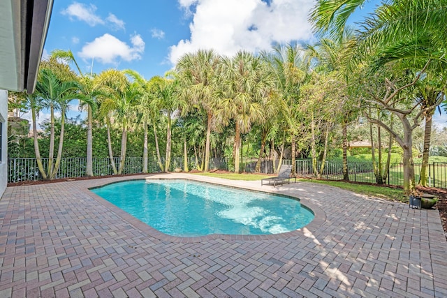 view of swimming pool with a patio area