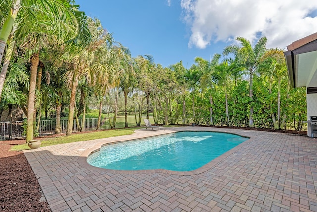 view of swimming pool featuring a patio area