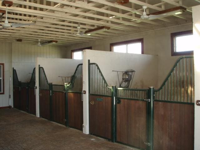 view of horse barn