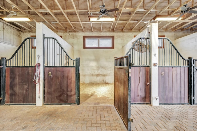 view of horse barn