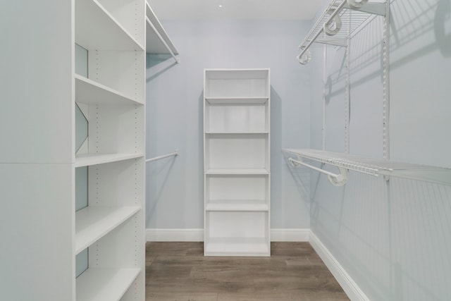 walk in closet featuring hardwood / wood-style floors