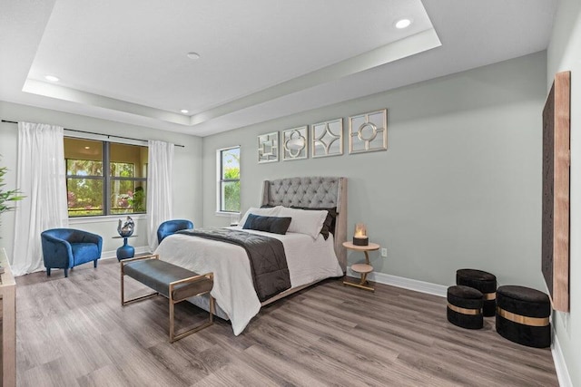 bedroom featuring wood-type flooring and a raised ceiling