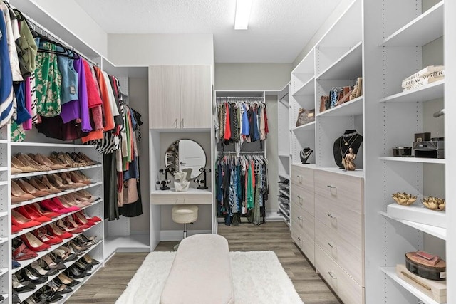 walk in closet featuring light hardwood / wood-style floors