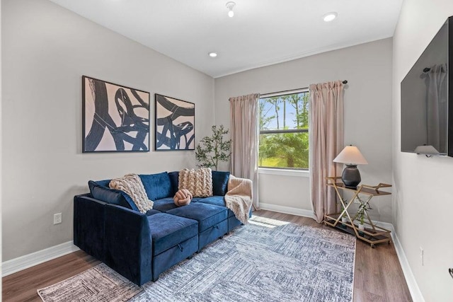 living room with hardwood / wood-style flooring