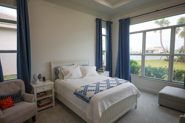 carpeted bedroom with multiple windows