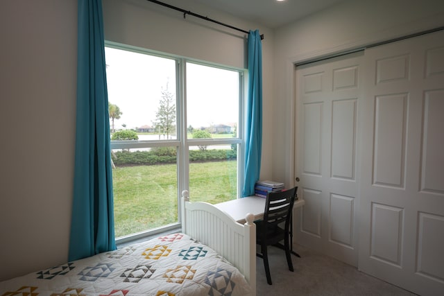 carpeted bedroom featuring a closet