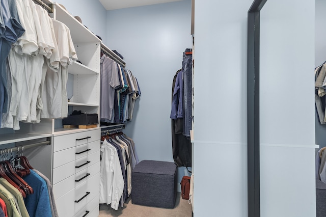 walk in closet featuring light carpet