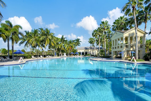 view of swimming pool