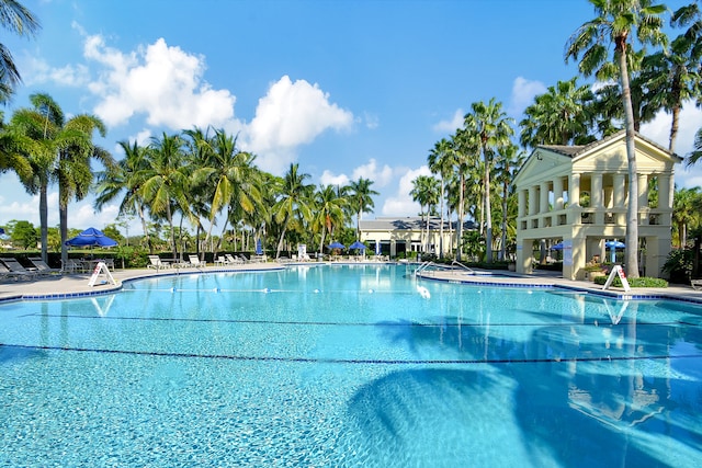 view of swimming pool