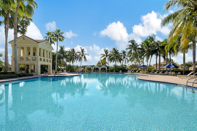 view of pool featuring a patio area