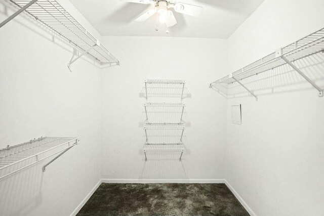 walk in closet with carpet and ceiling fan