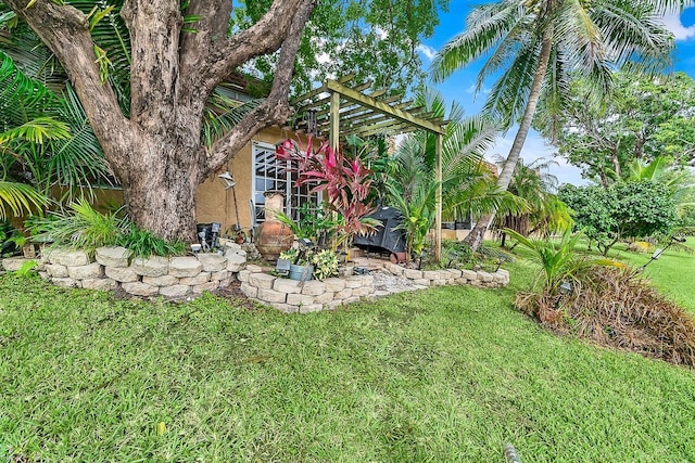 view of yard featuring a pergola