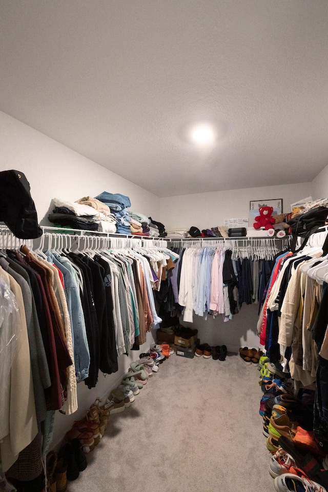 walk in closet featuring carpet floors