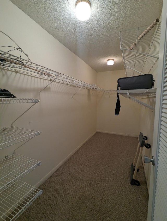 spacious closet with carpet floors