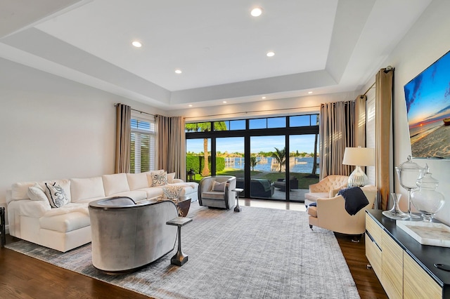 living room featuring dark hardwood / wood-style floors and a raised ceiling