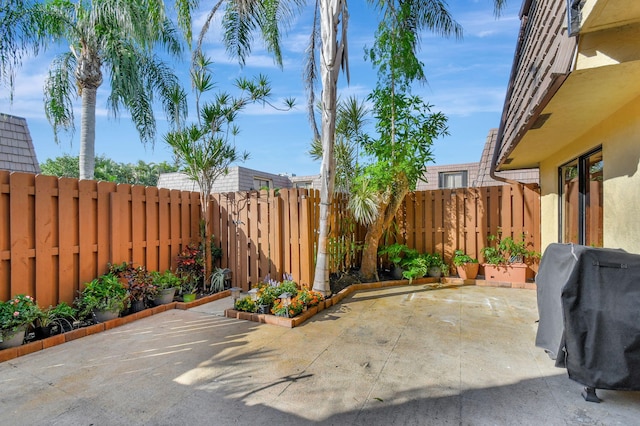 view of patio / terrace with a grill