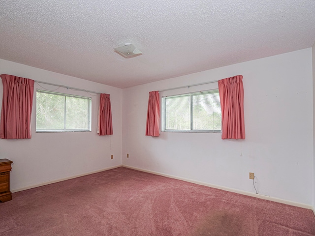 empty room featuring a wealth of natural light, a textured ceiling, and carpet flooring