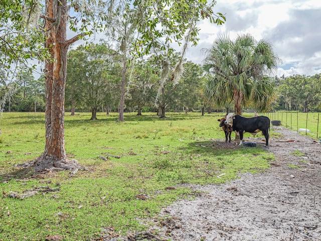 view of yard with a rural view