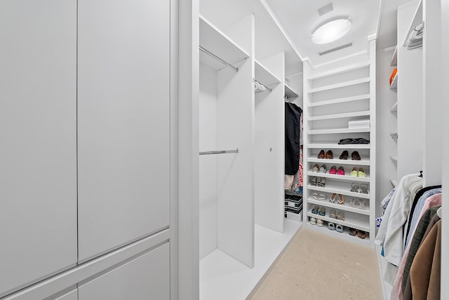 view of spacious closet