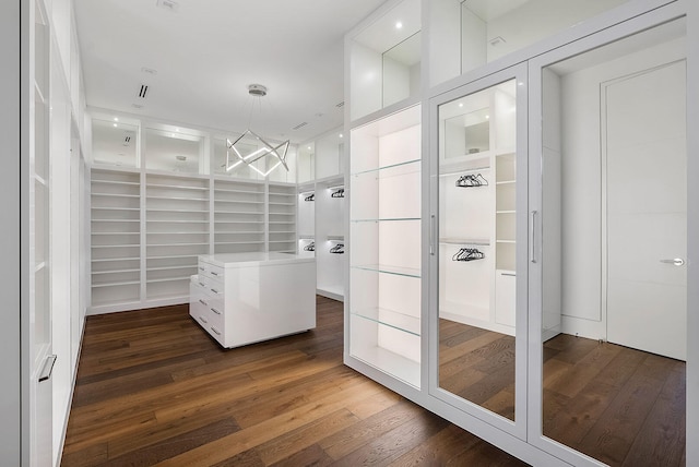 spacious closet featuring dark hardwood / wood-style floors and an inviting chandelier