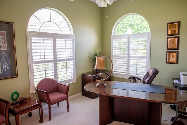 home office with light carpet