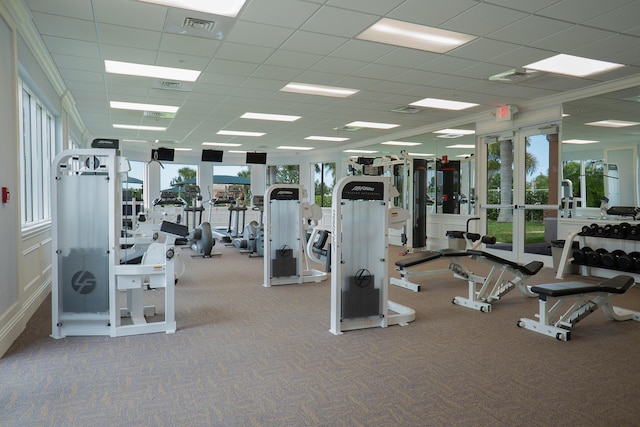 exercise room featuring carpet and a drop ceiling