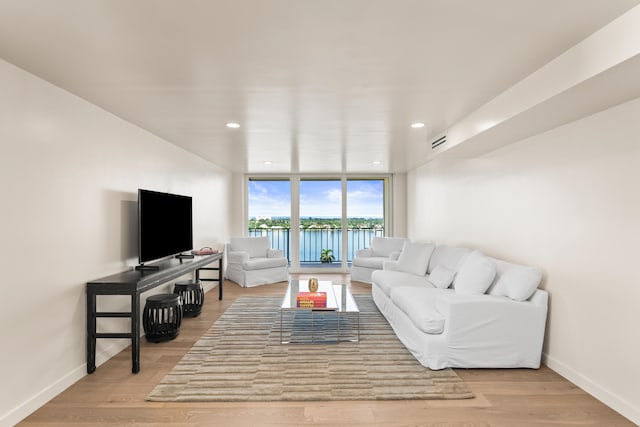 living room featuring expansive windows and light hardwood / wood-style flooring