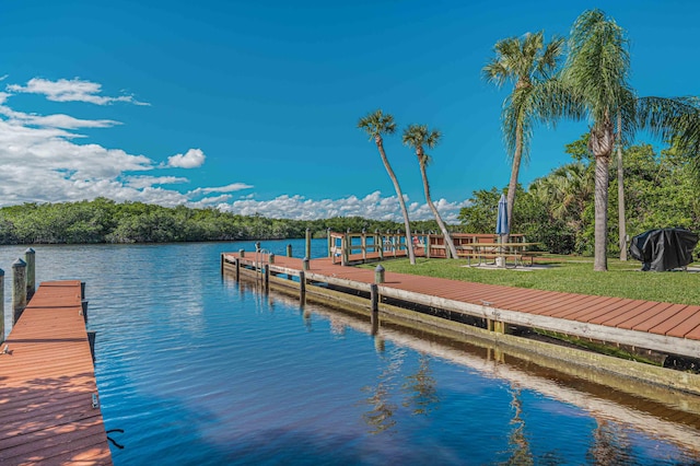 dock area featuring a yard and a water view