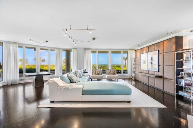 living room featuring dark hardwood / wood-style flooring, track lighting, and a wall of windows