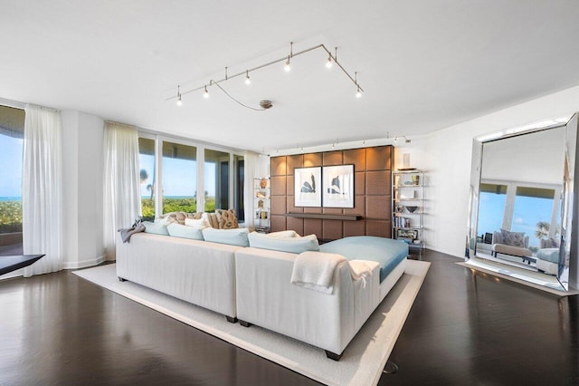 living room featuring dark hardwood / wood-style floors