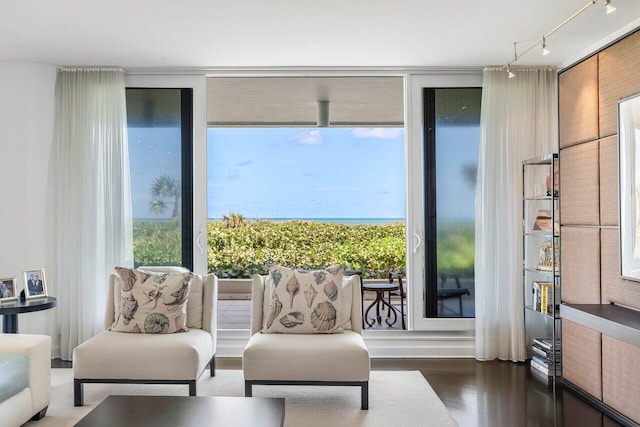 sitting room featuring hardwood / wood-style flooring, a wall of windows, rail lighting, and a wealth of natural light