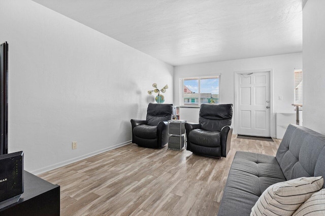 living room with light hardwood / wood-style flooring