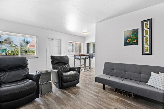 living room with wood-type flooring and a textured ceiling