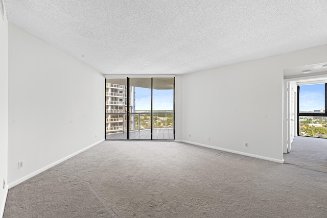 empty room featuring carpet, floor to ceiling windows, and a textured ceiling