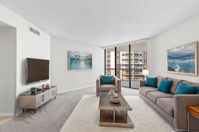 view of carpeted living room